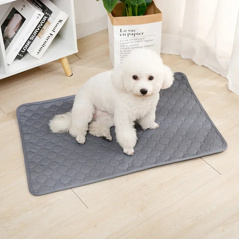 Puppy Pad