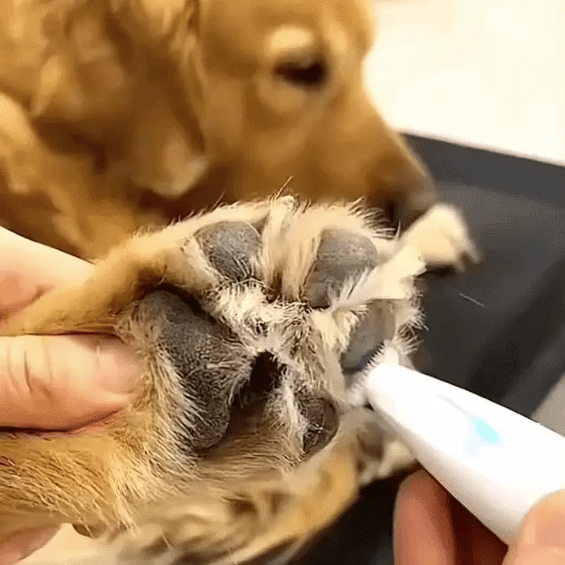 PAW TRIMMER
