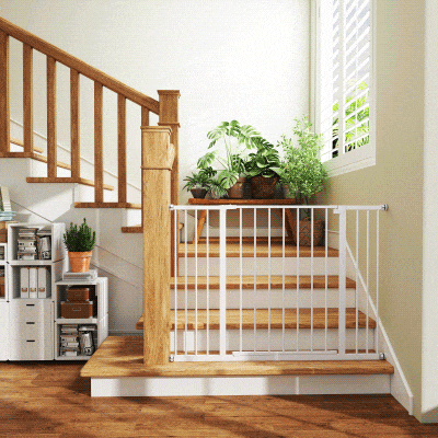 Dog Gate