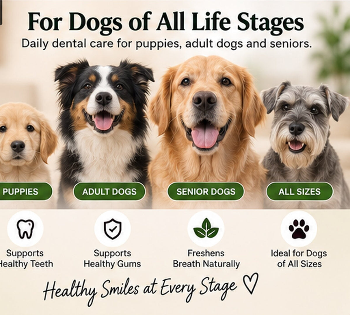 Petlytics™ BioPaw Dog Biotics