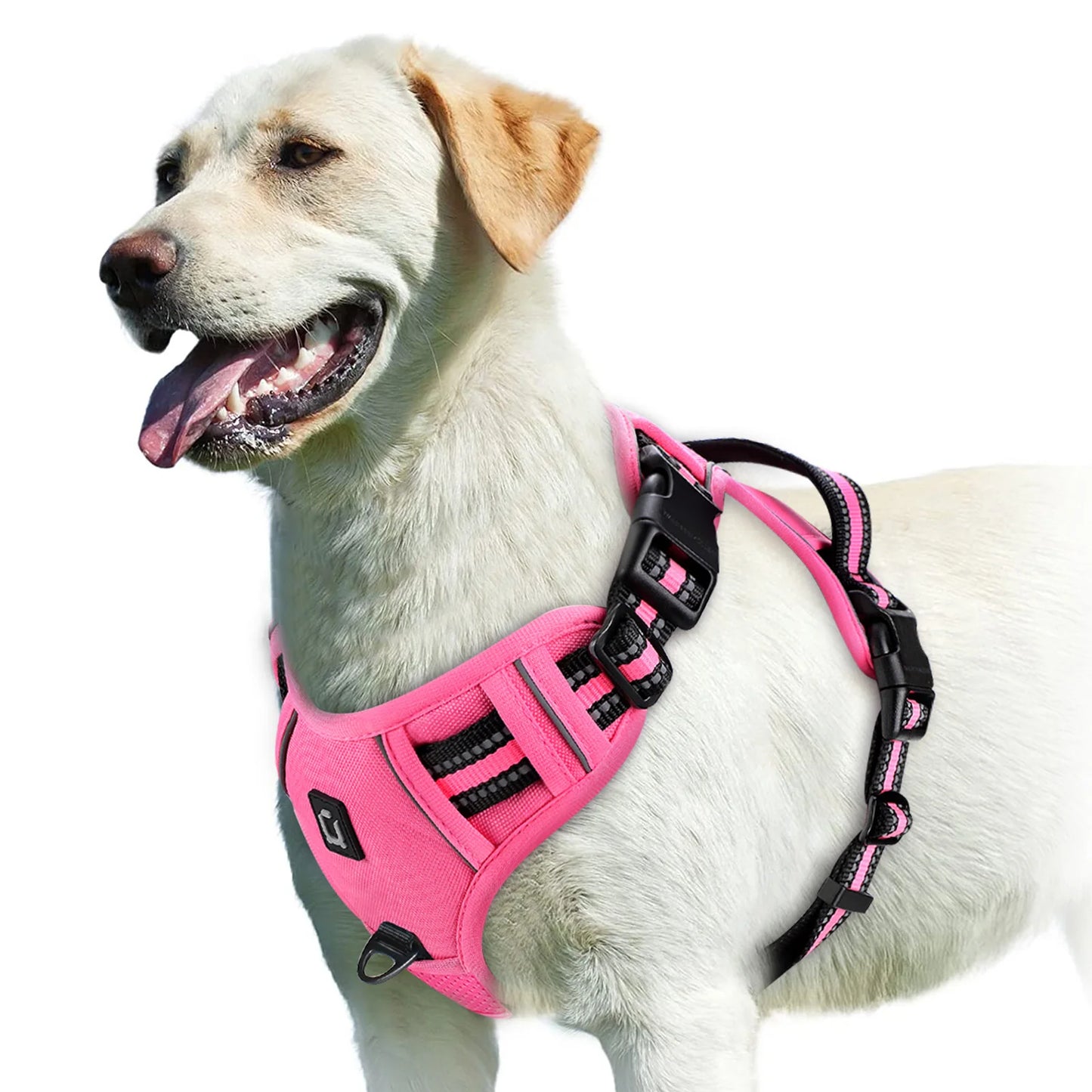 No-Pull Harness