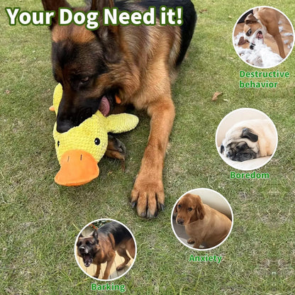SUPPORT DUCK