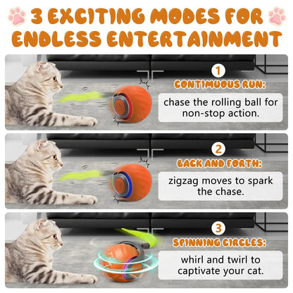 SPEEDY TAIL