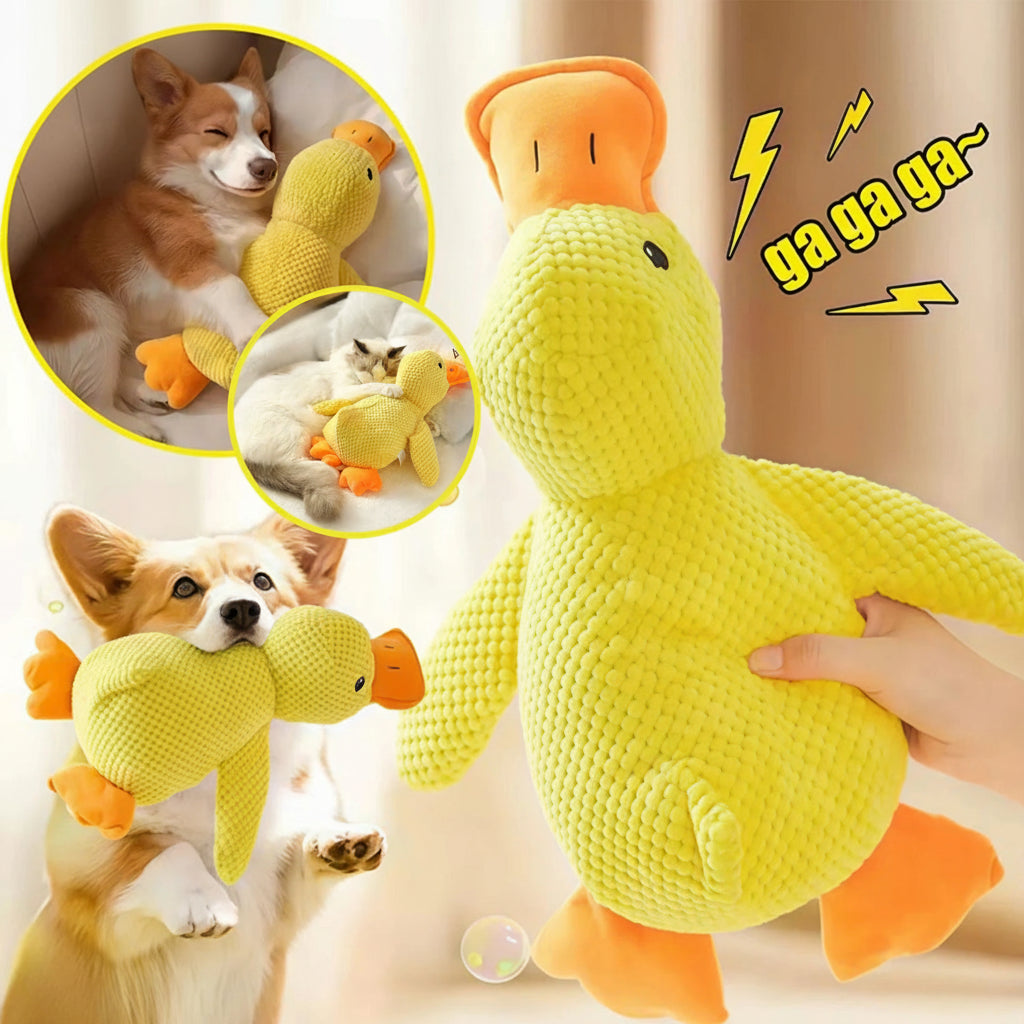 SUPPORT DUCK