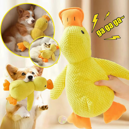 SUPPORT DUCK