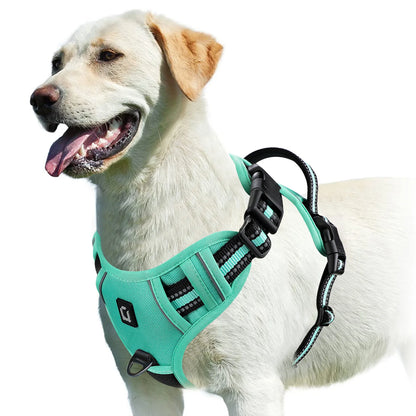 No-Pull Harness