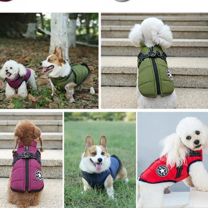 Dog Jacket