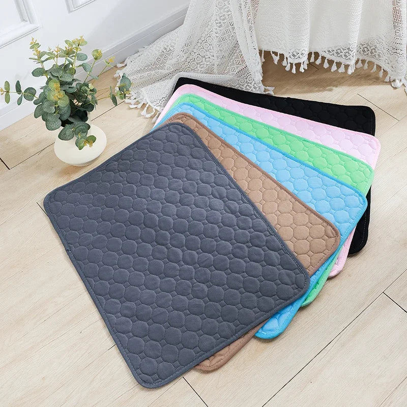 Puppy Pad