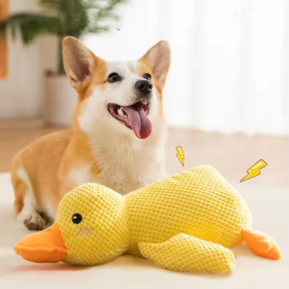 SUPPORT DUCK