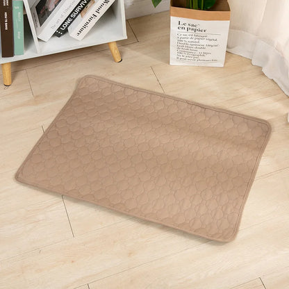 Puppy Pad