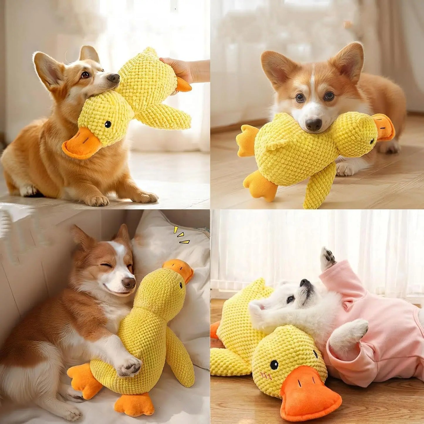 SUPPORT DUCK