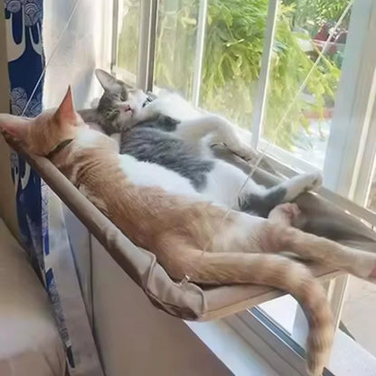 Cat Hammock