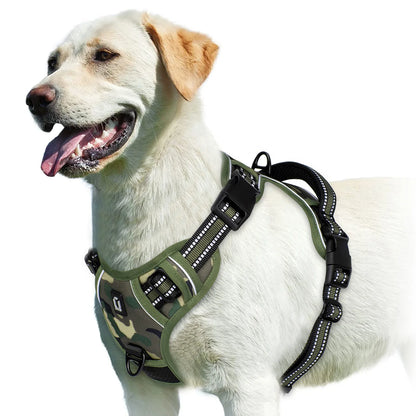 No-Pull Harness