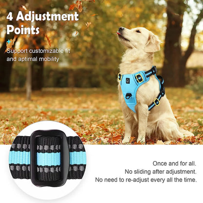 No-Pull Harness