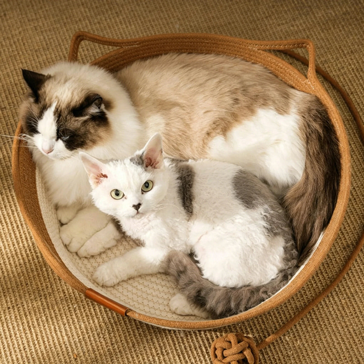Petlytics™ CozyPaw Basket