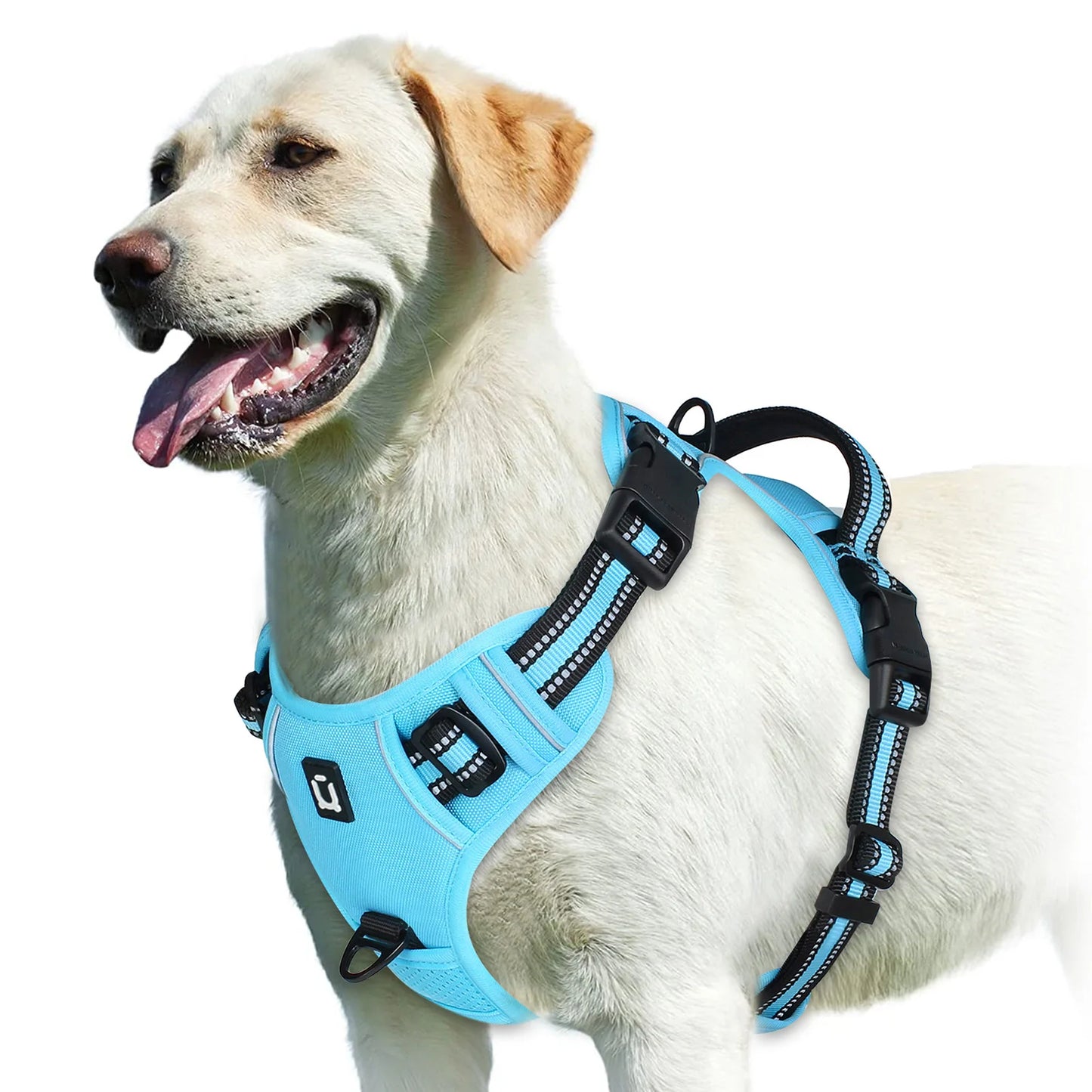 No-Pull Harness