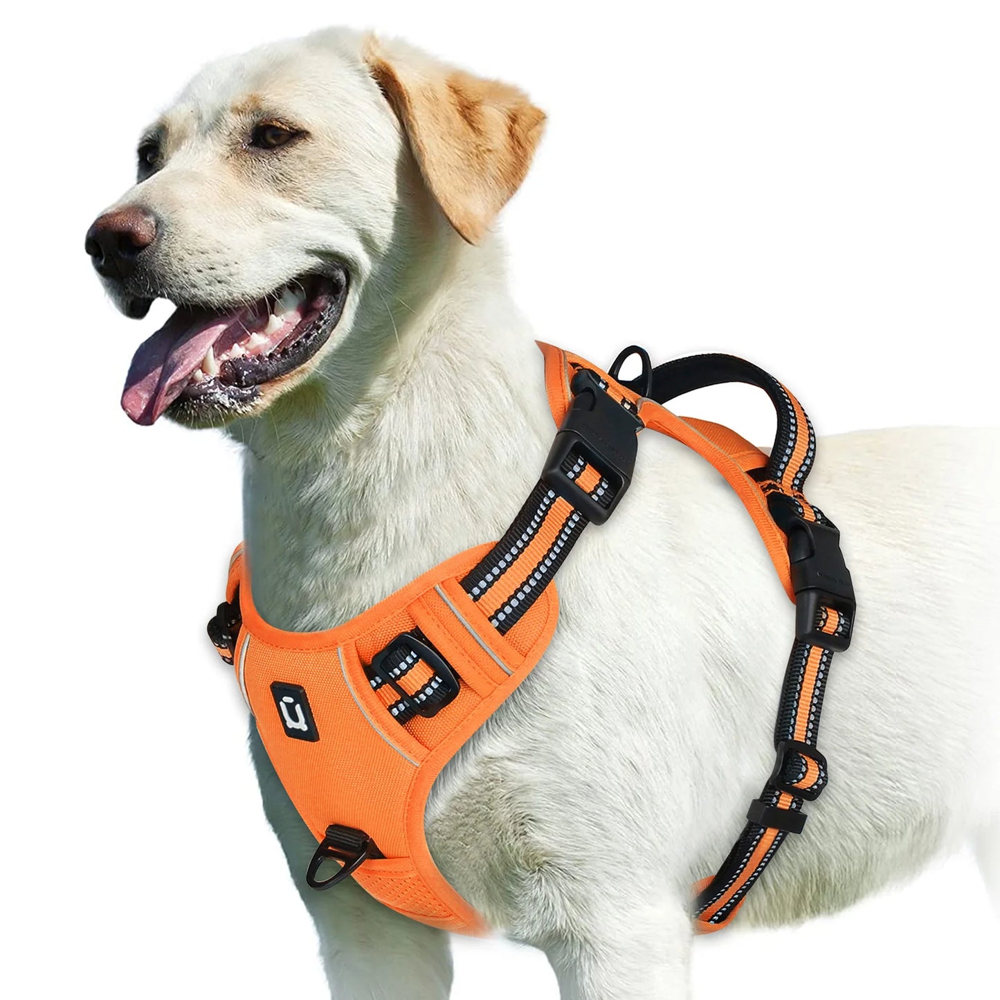 No-Pull Harness