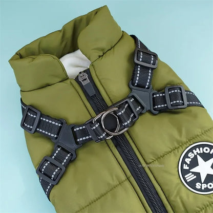 Dog Jacket