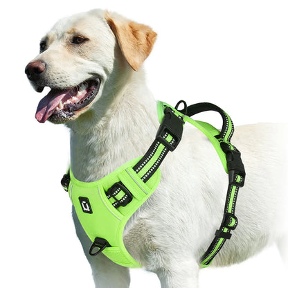 No-Pull Harness