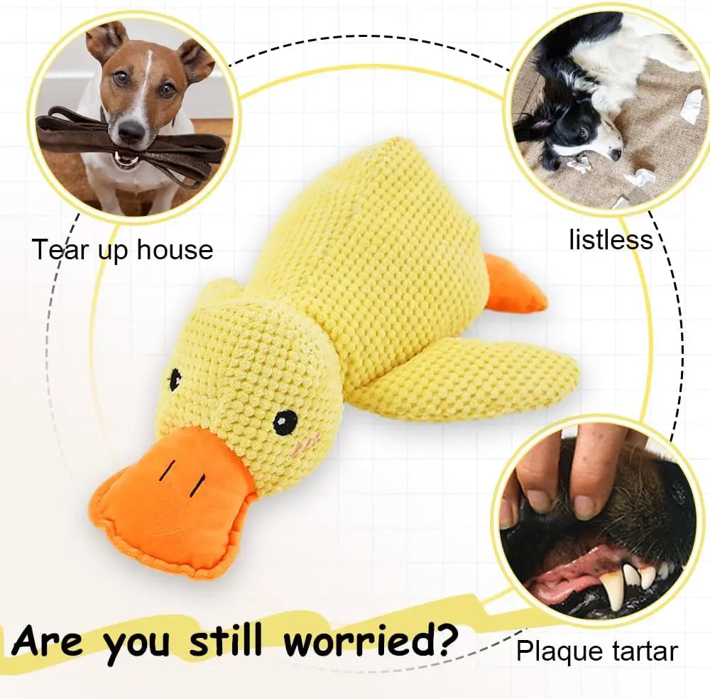 SUPPORT DUCK