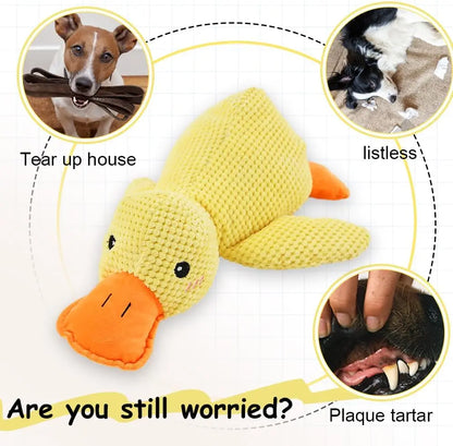 SUPPORT DUCK