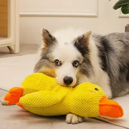 SUPPORT DUCK