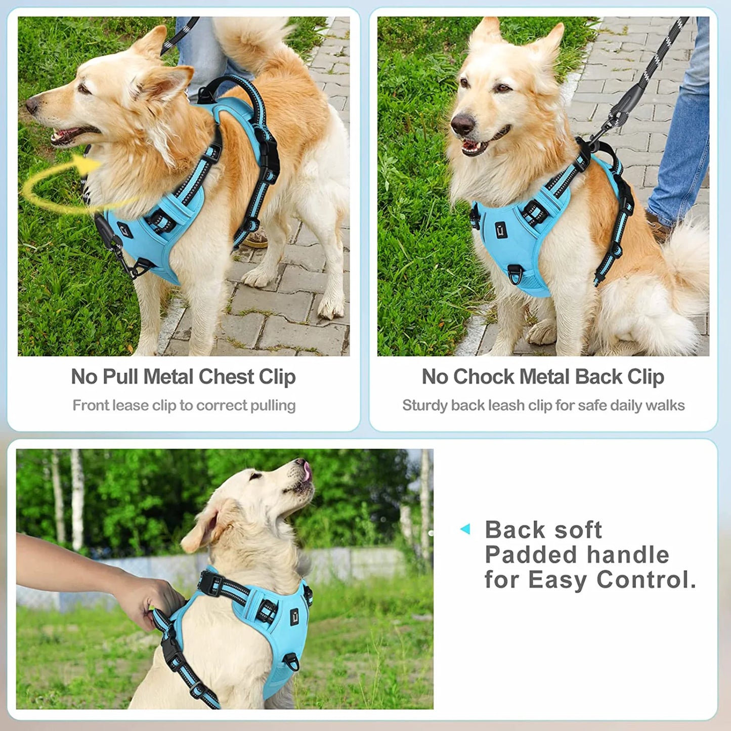 No-Pull Harness