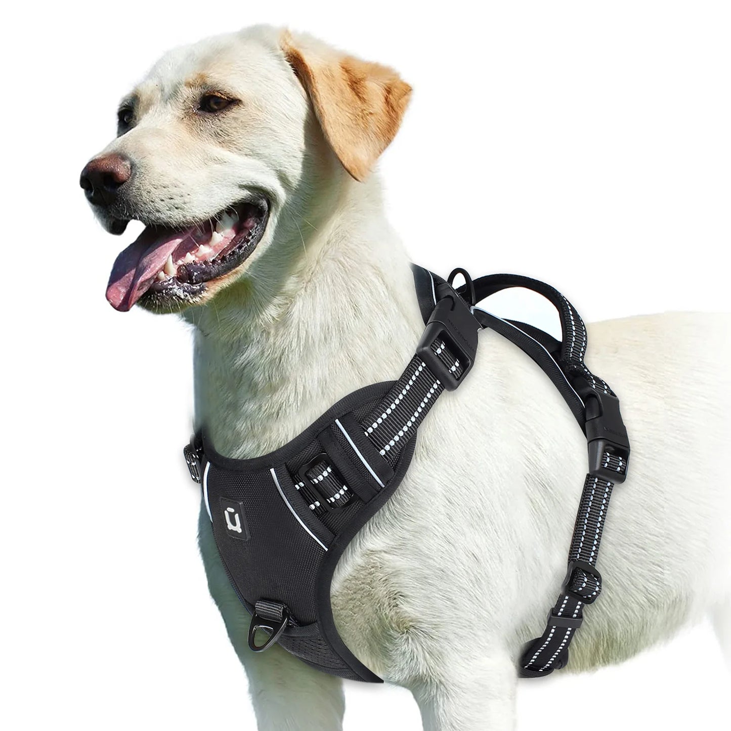 No-Pull Harness