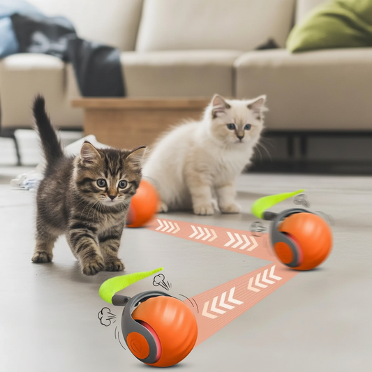 SPEEDY TAIL