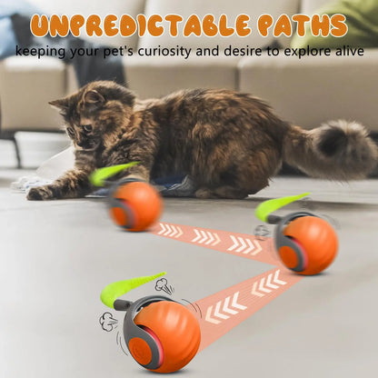 SPEEDY TAIL
