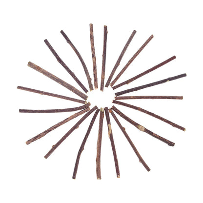 Dental Sticks