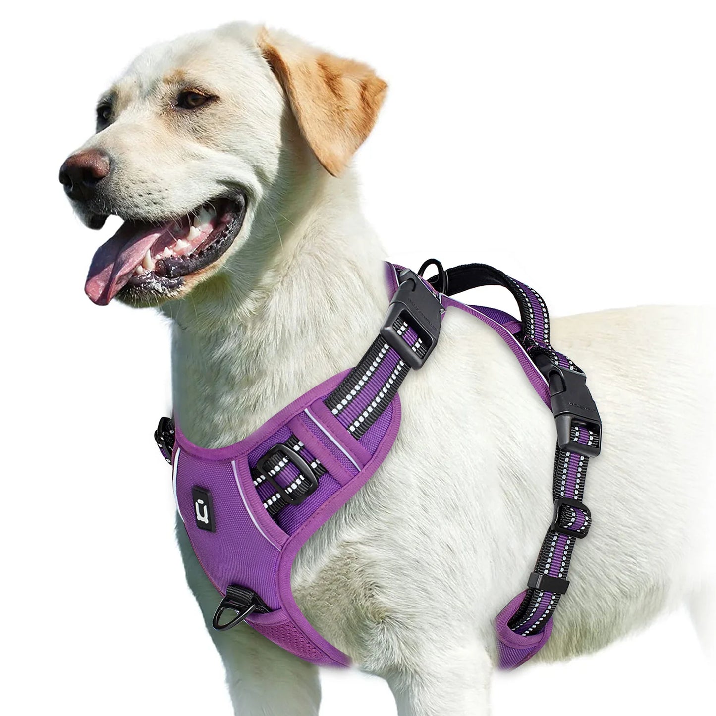 No-Pull Harness