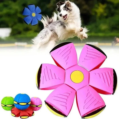 Flying Saucer Bouncing Ball