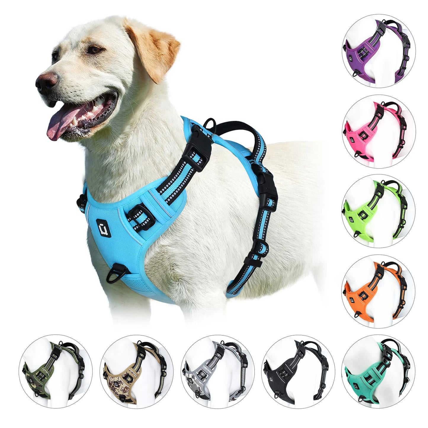No-Pull Harness