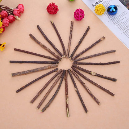 Dental Sticks