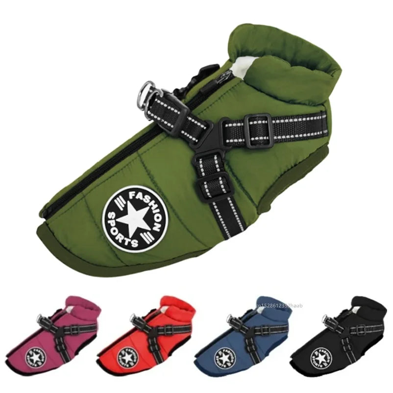 Dog Jacket