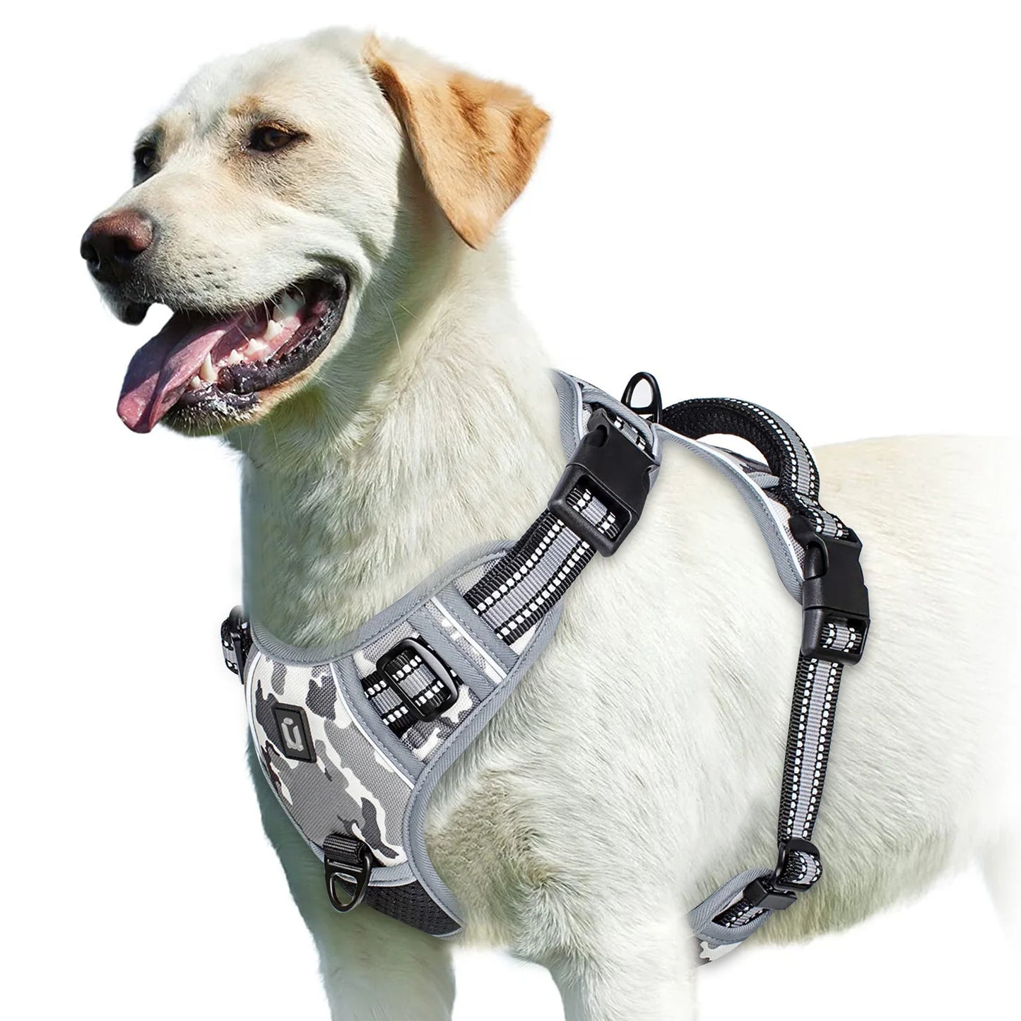 No-Pull Harness