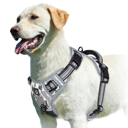 No-Pull Harness