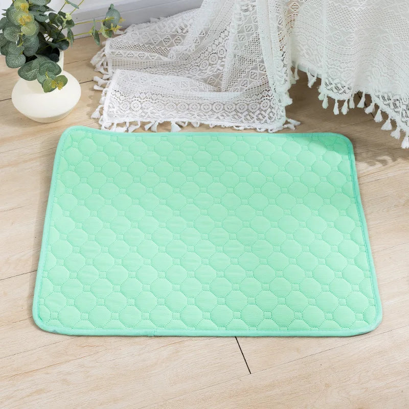 Puppy Pad