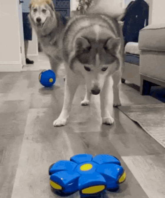 Flying Saucer Bouncing Ball