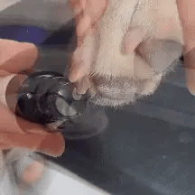 Petlytics™ PawTrim Pet Nail Grinder