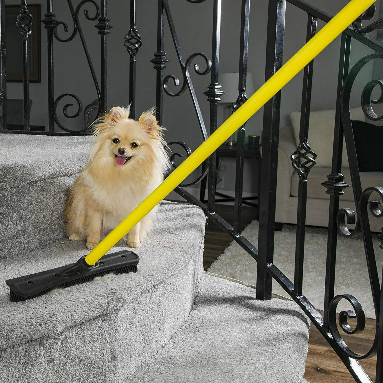 Fur Broom