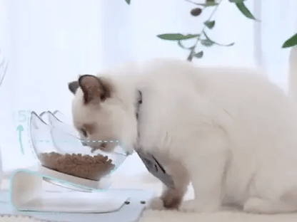 Orthopedic Cat Bowl