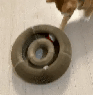 Kitty Kurlz